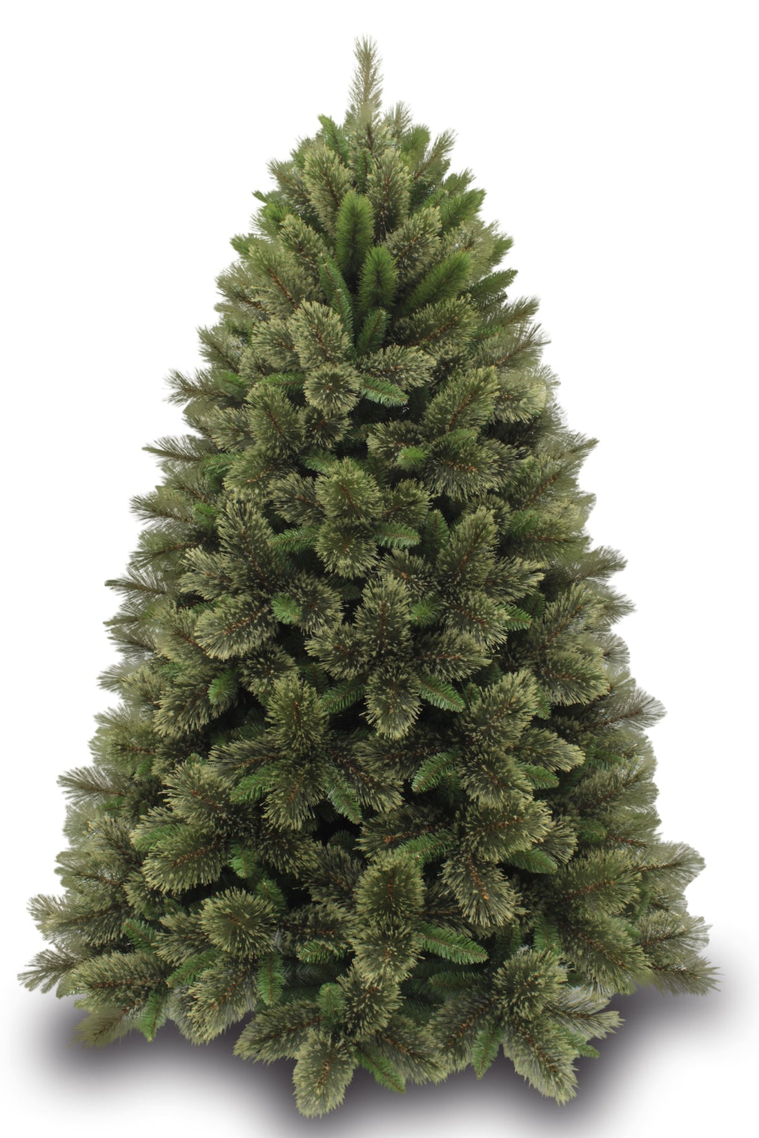 How to Set Up Triumph Christmas Trees