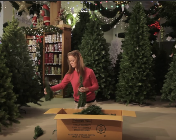 How to Set Up Triumph Christmas Trees - Artificial Xmas Tree