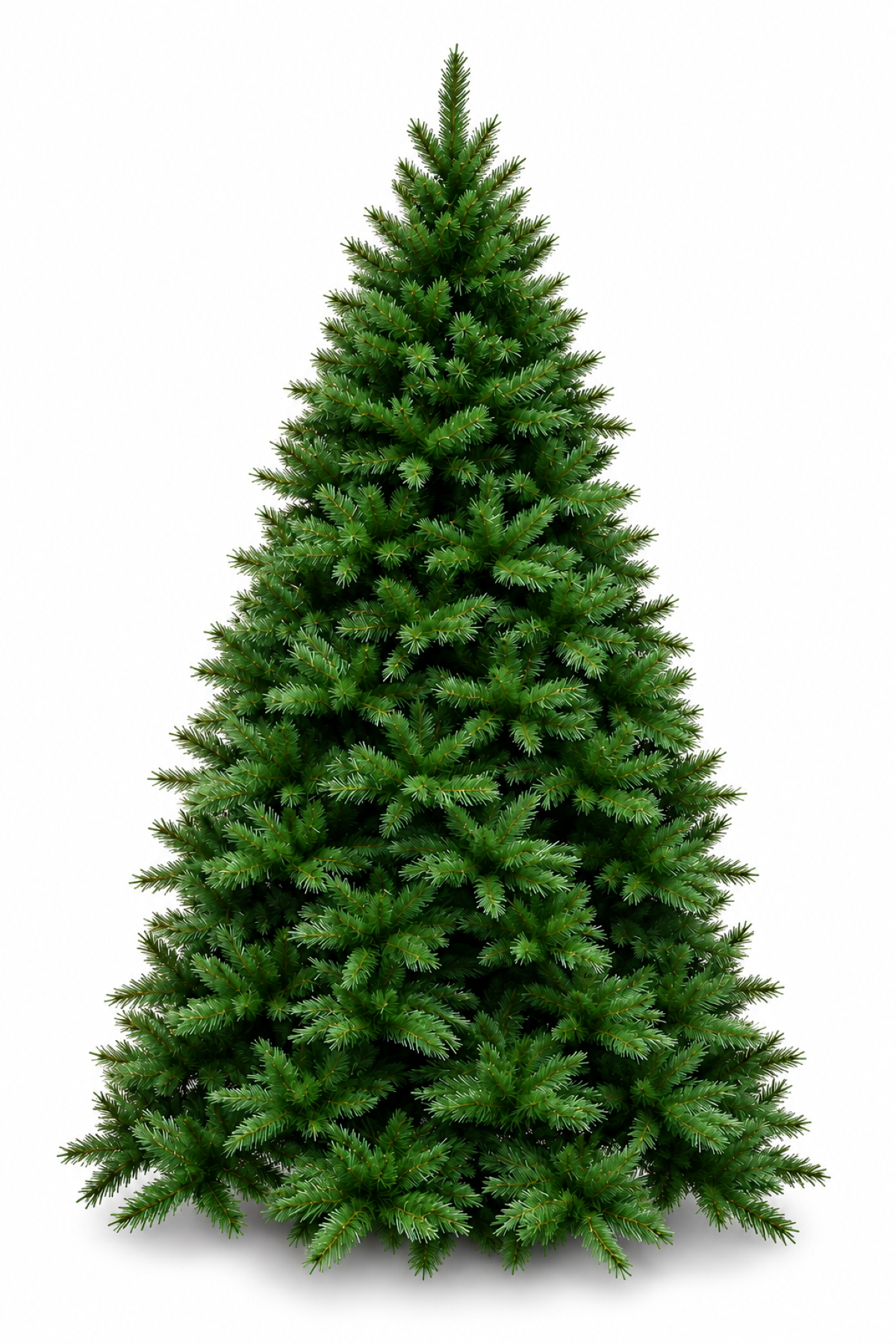 12ft Vienna Spruce Christmas Tree Green 3.66m