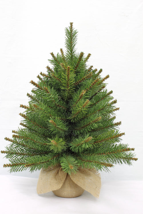 2ft Glendale Pine in Burlap base 61cm - Artificial Xmas Tree