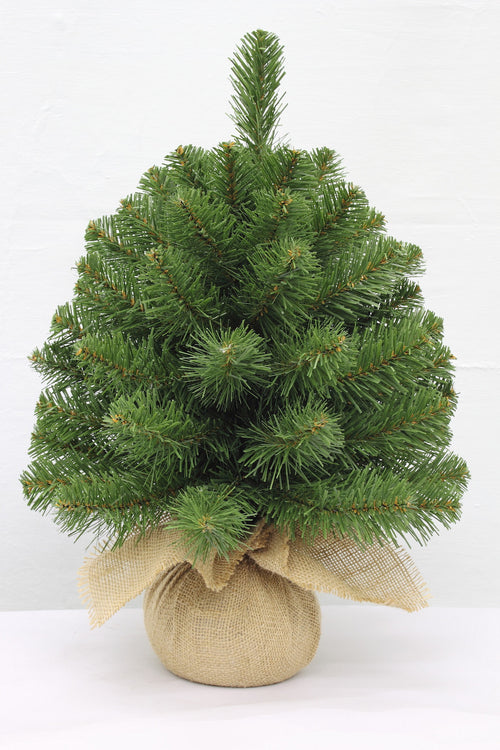 1.5ft Alpine Spruce Christmas Tree in Burlap covered base 46cm - Artificial Xmas Tree