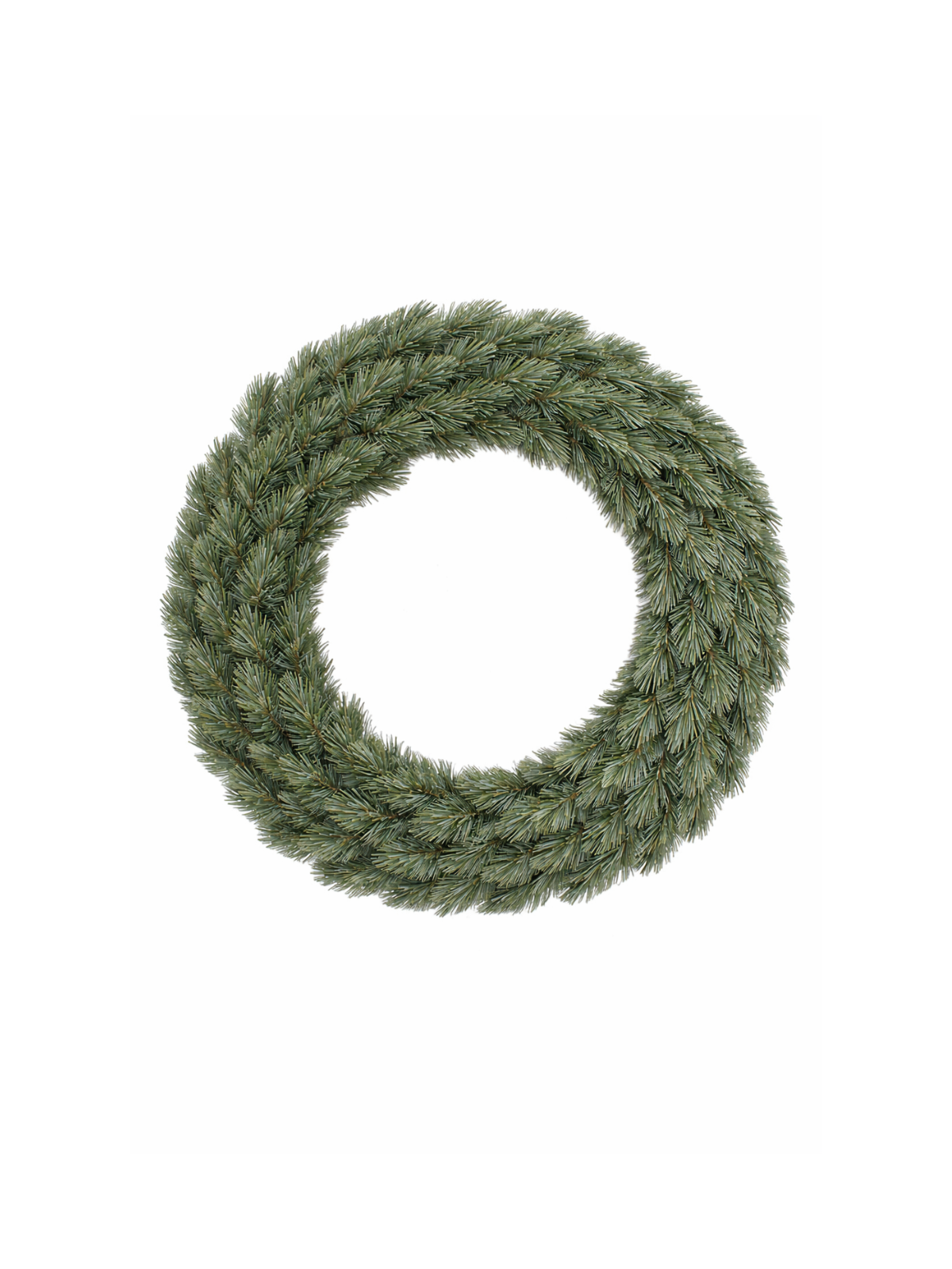 24 英寸 Pitch Pine 花环 新生长蓝色 61 厘米