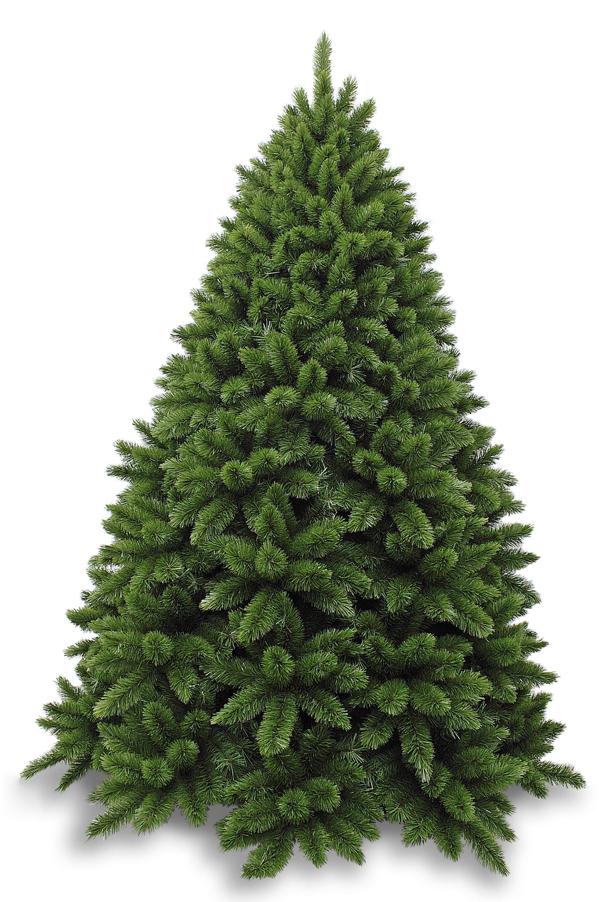 Árbol de Navidad de abeto real verde de 8,5 pies y 2,59 m