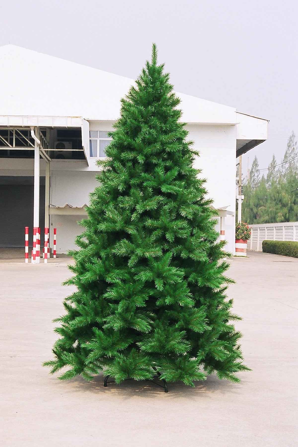 12ft Vienna Spruce Christmas Tree Green 3.66m