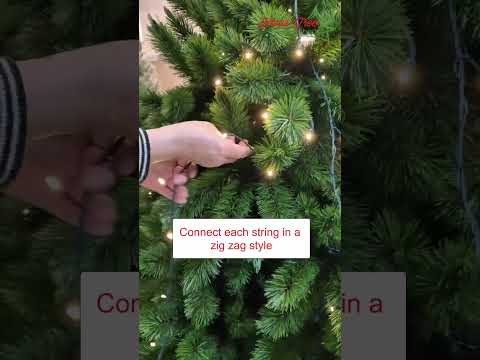 Light Ring