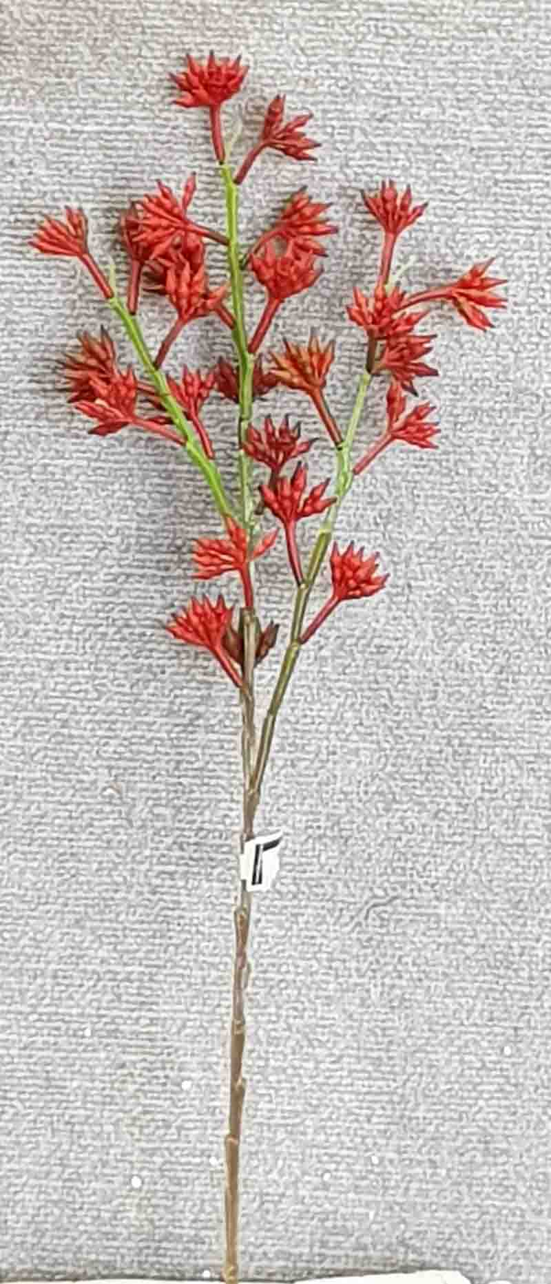 Kangaroo Paw x 3 - Red - Artificial Xmas Tree