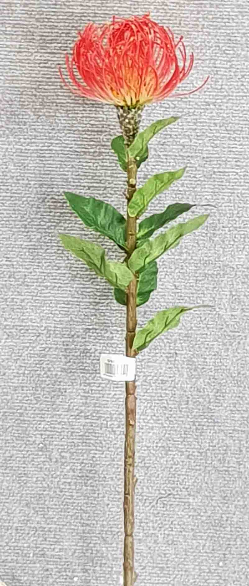 Pincushion Protea Single large - Red - Artificial Xmas Tree