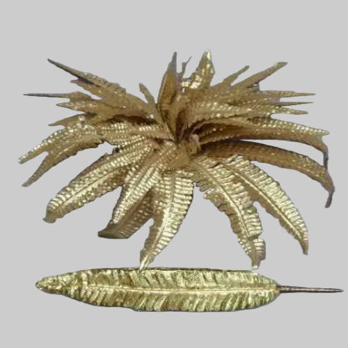Boston Fern Gold