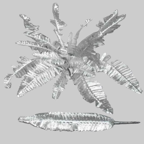 Boston Fern Silver