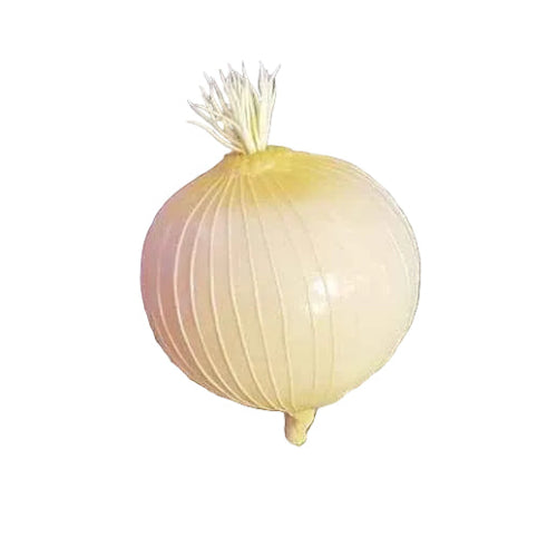 Vegetable Onion Single