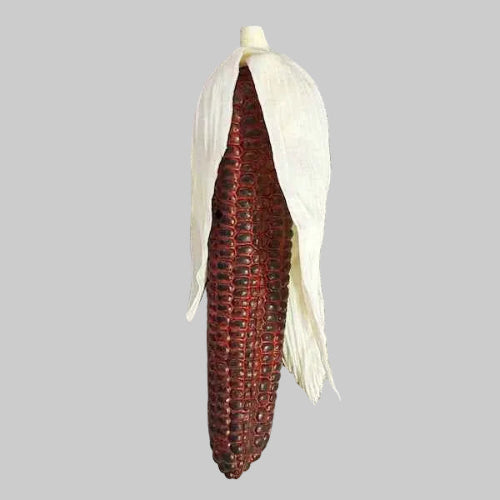 Vegetable Corn Single Red