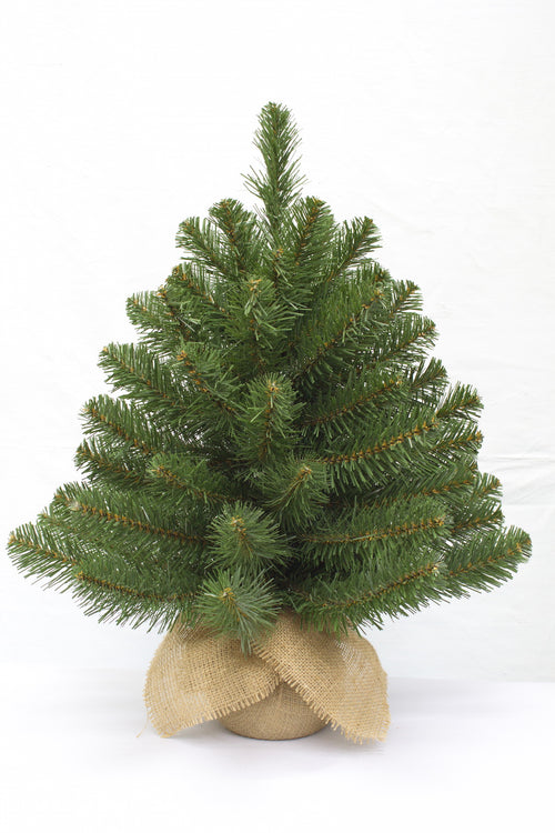 2ft Alpine Spruce Christmas Tree in Burlap covered base 61cm - Artificial Xmas Tree