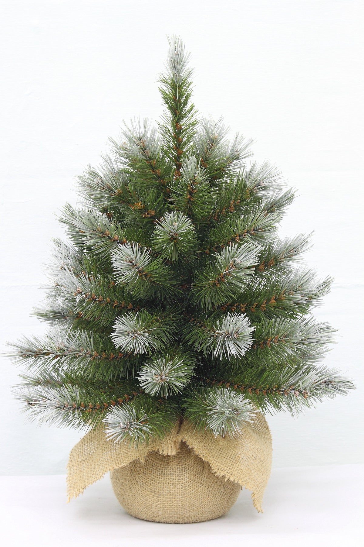 1.5ft Pittsburgh Spruce Christmas Tree Green Frosted 46cm in Burlap base - Artificial Xmas Tree