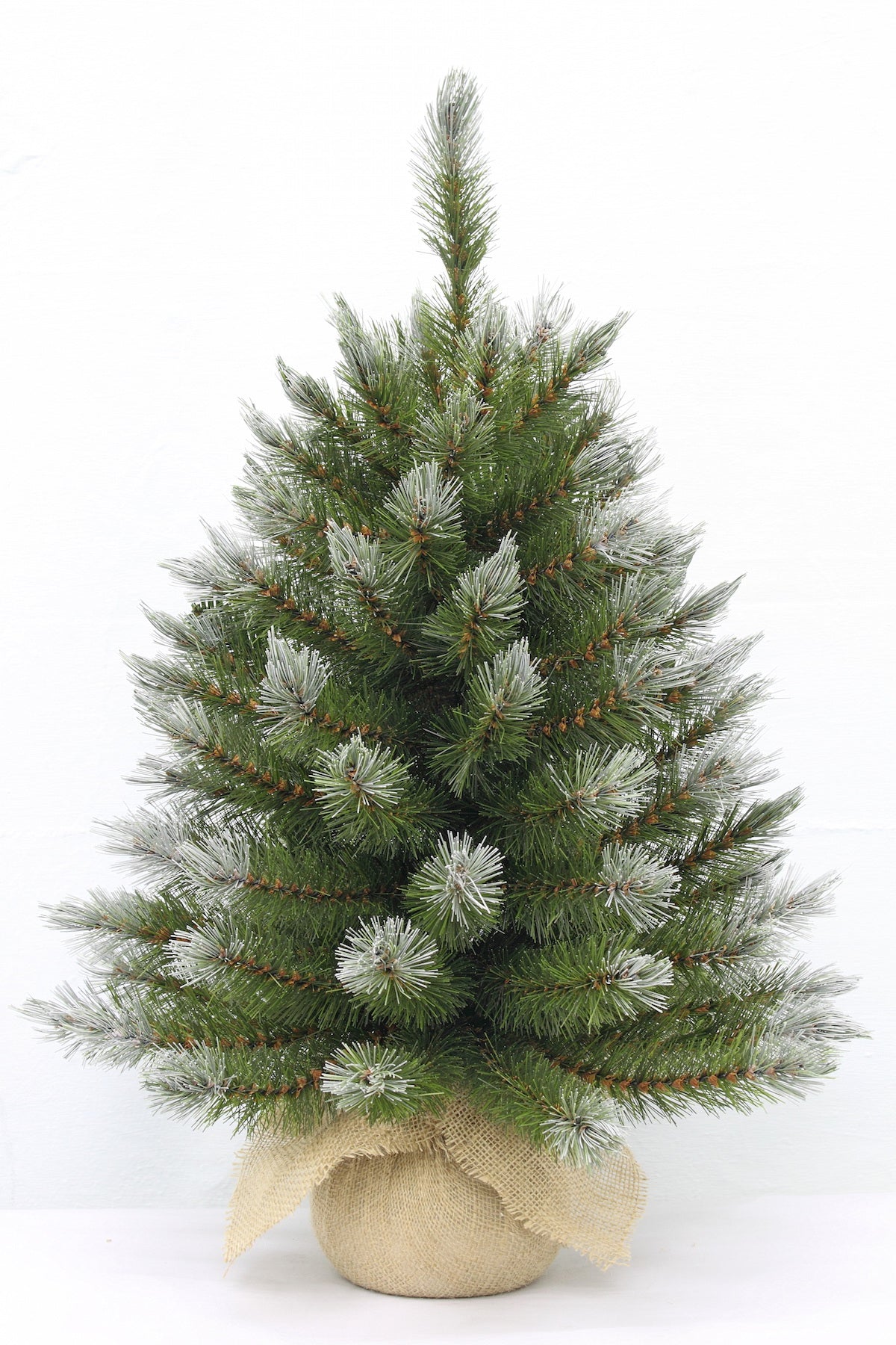 2ft Pittsburgh Spruce Christmas Tree Green Frosted 61cm in Burlap base - Artificial Xmas Tree