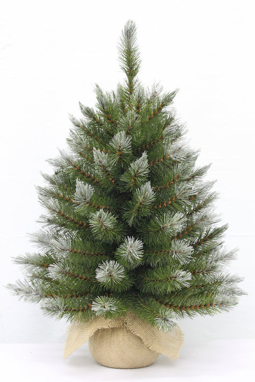 2ft Pittsburgh Spruce Christmas Tree Green Frosted 61cm in Burlap base - Artificial Xmas Tree