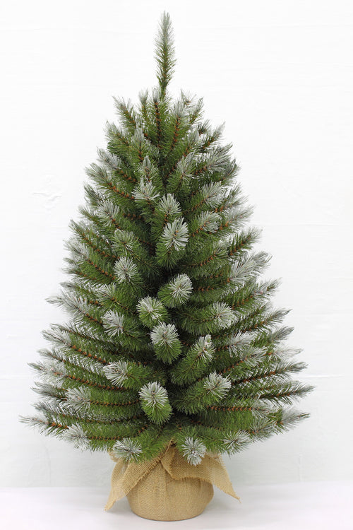 3ft Pittsburgh Spruce Christmas Tree Green Frosted in Burlap base 91cm - Artificial Xmas Tree