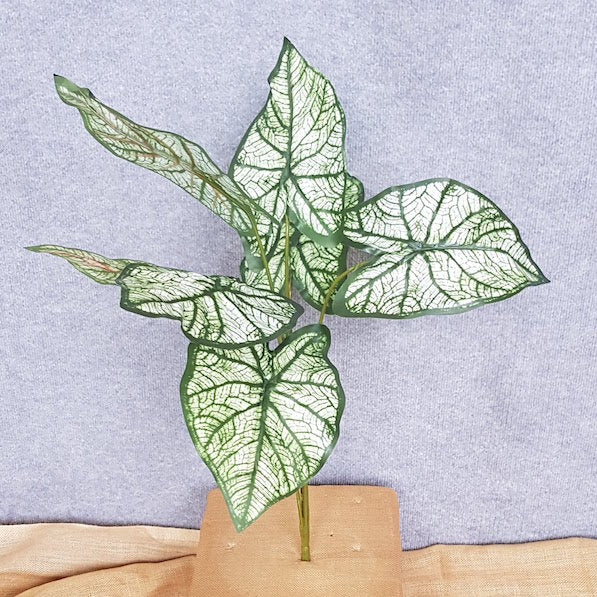 Caladium Angle Wing Green x 7 - Artificial Xmas Tree