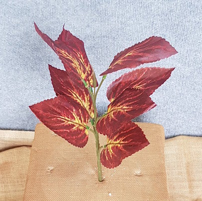 Coleus Flame Nettle x 8 - Artificial Xmas Tree