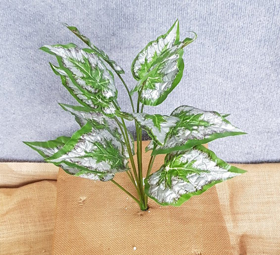 Begonia Green x 12 - Artificial Xmas Tree