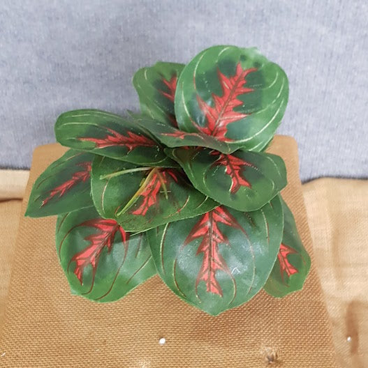 Maranta - Artificial Xmas Tree