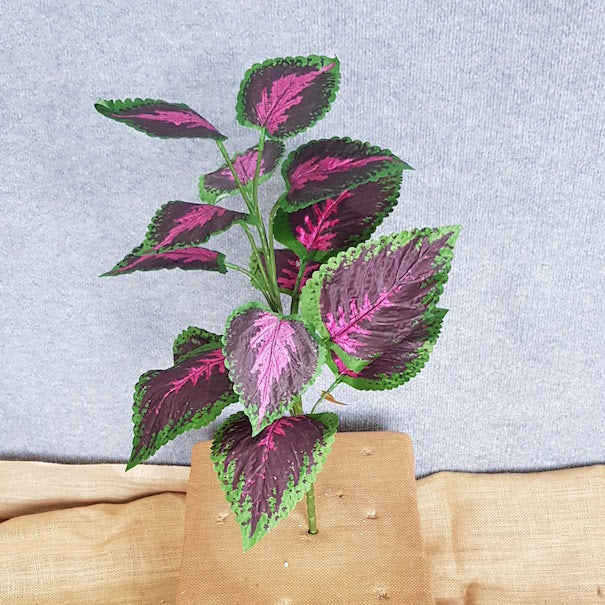 Coleus x 14 - Artificial Xmas Tree
