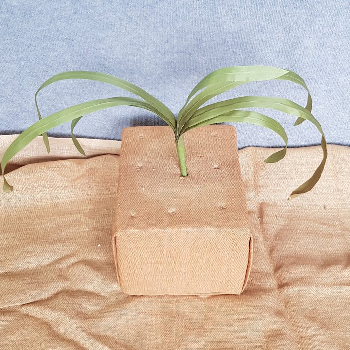 Cymbidium Plant - Artificial Xmas Tree