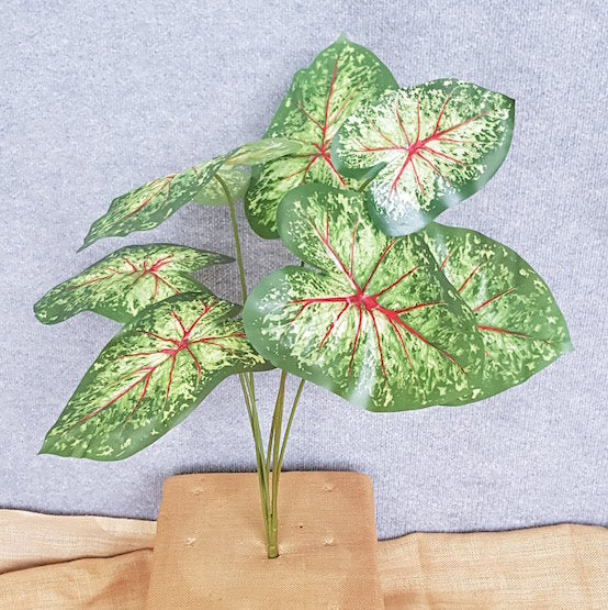 Caladium Angle Wing Plant x 7 - Artificial Xmas Tree