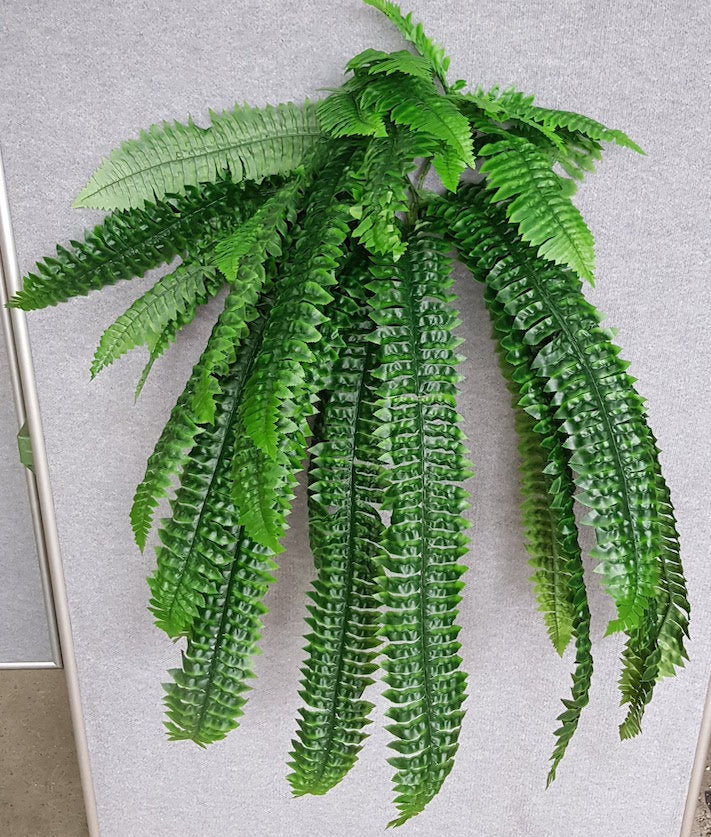 Boston Fern x 40 - Artificial Xmas Tree