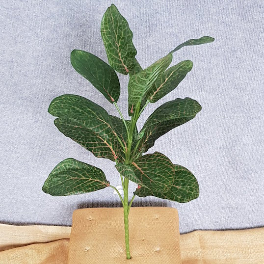 Calathea Plant x 12 - Artificial Xmas Tree