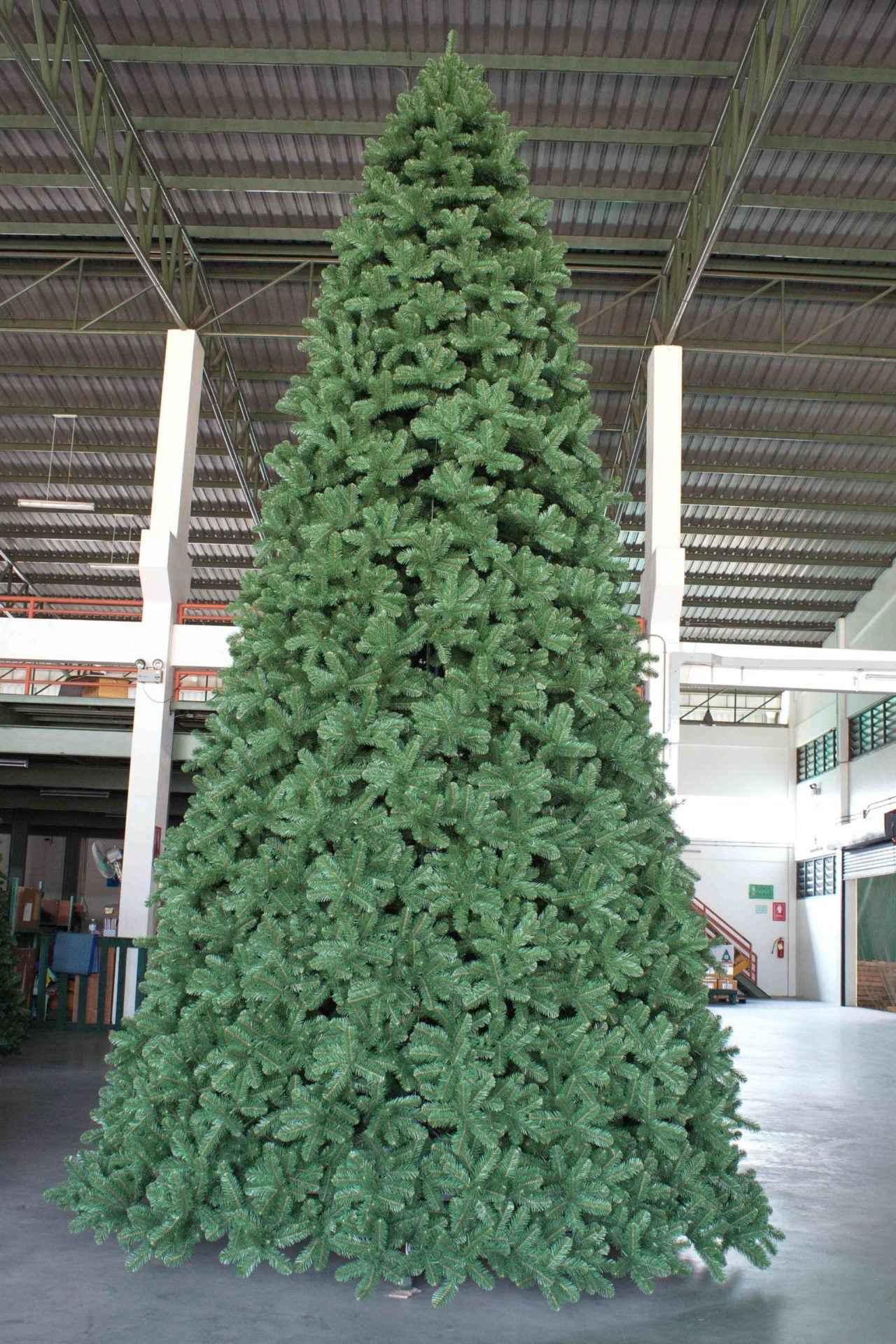 20ft Scandia Spruce Christmas Tree Green 6.0m