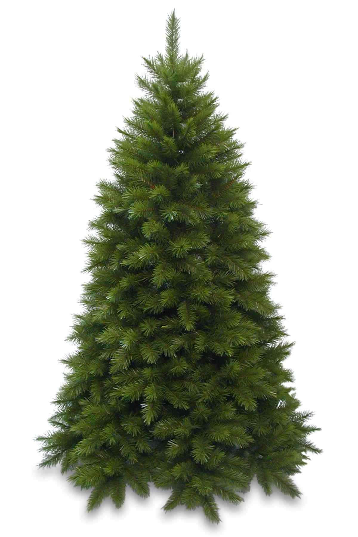 6.5ft Vienna Spruce Christmas Tree Green 1.98m