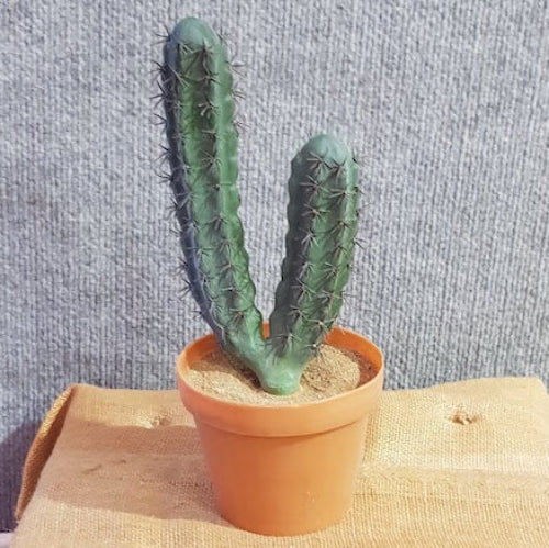 Finger Cactus - Artificial Xmas Tree