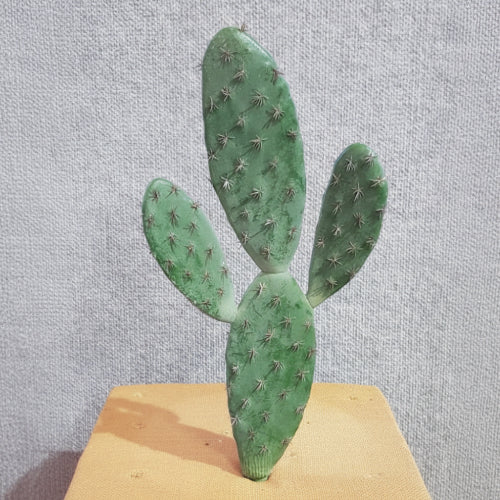 Artificial  Cactus - Traditional Mexican Cactus - Artificial Xmas Tree