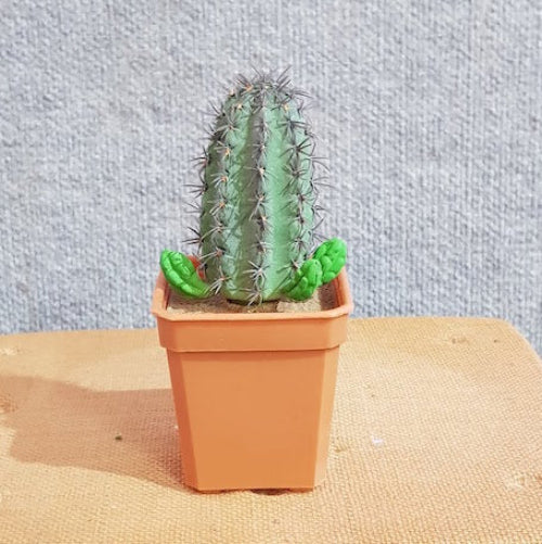 Fake Cactus - Saguaro Cactus Thorns - Artificial Xmas Tree