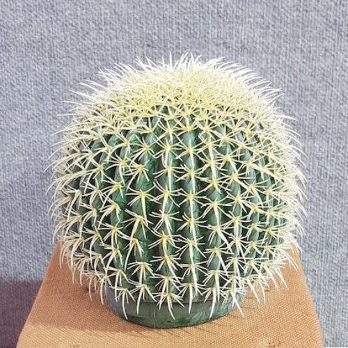 Fake Cactus - Echinocactus Grusonii Small - Artificial Xmas Tree