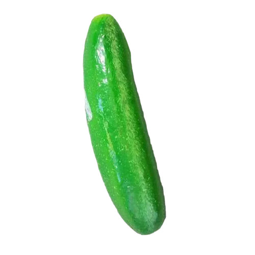 Vegetable Cucumber Single