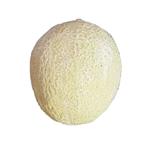 Fruit Honey Dew Melon Single