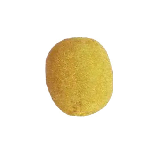 Fruit Kiwi Fruit Single