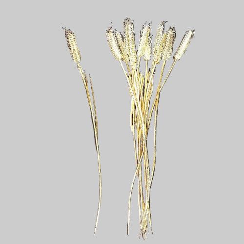 Wheat Single Gold Plated