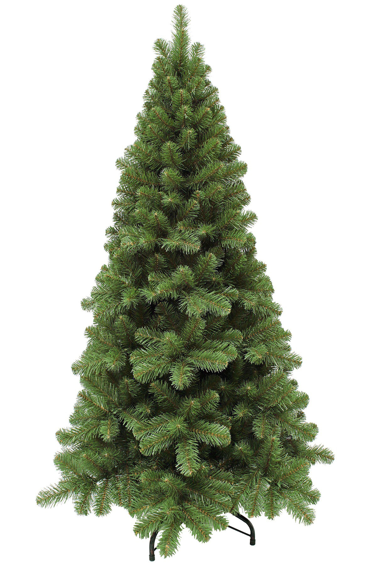 Pencil pine christmas