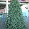Pinewood Spruce Christmas Tree Outdoor