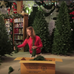 How to Set Up Triumph Christmas Trees