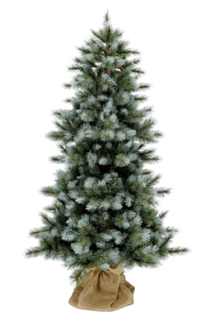 6ft Slim Wyoming Fir Blue Green 1.83m