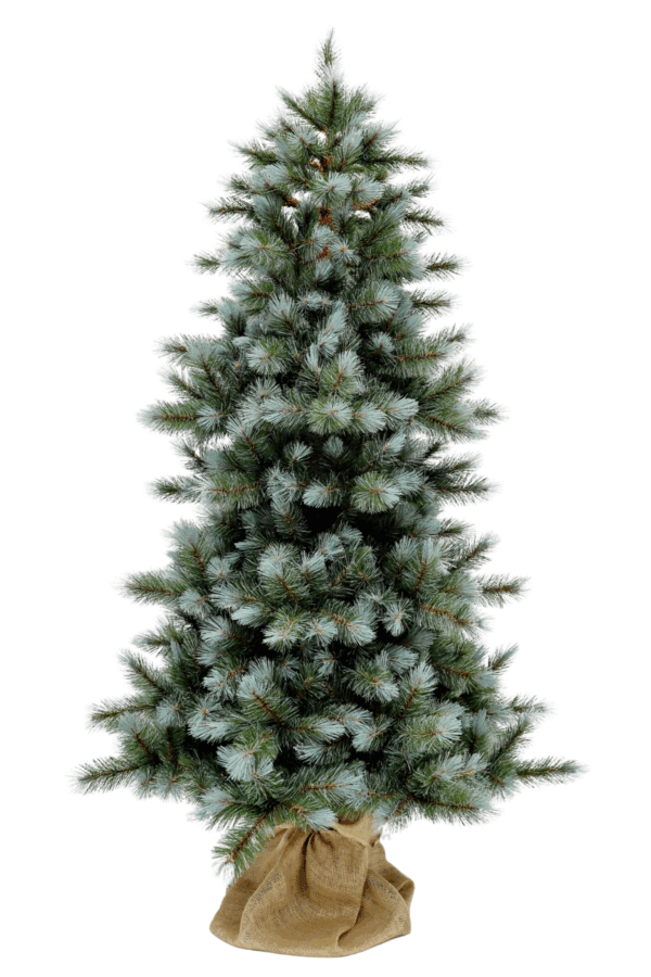 6ft Slim Wyoming Fir Blue Green 1.83m