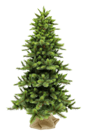 7ft Slim Wyoming Fir Green 2.13m
