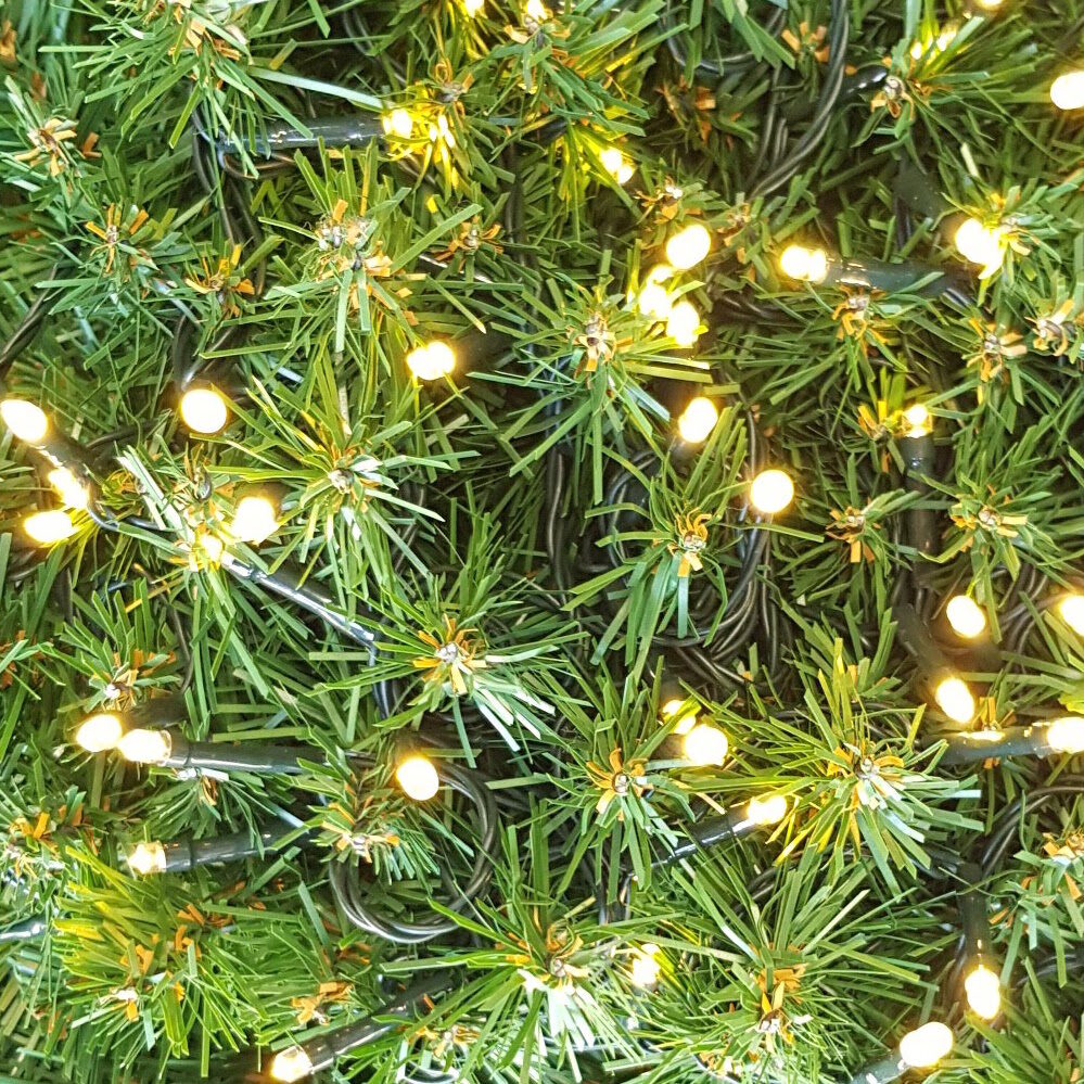 160 LED`s Warm White lights